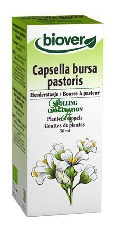 Capsella Bursa Pastoris 50 ml