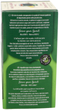 Green Tea Ginger and Lemon 17 Sachets Bio