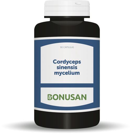Cordyceps sinensis mycelium