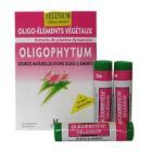 Selenium Oligophytum (H10 Sln) Garlic 100 Micro-tablets