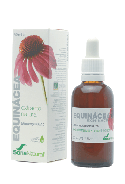 Echinacea Extract Glycerine 50Ml