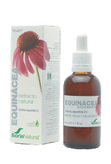 Echinacea Extract Glycerine 50Ml