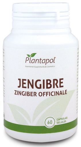 Ginger 60 Capsules 500 mg