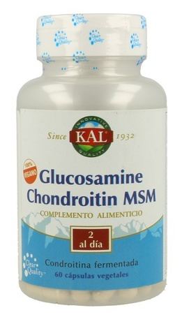 Vegan 100% Glucosamine Chondroitin Msm 60 Comp