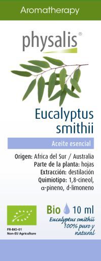 Eucalyptus Smithii Essence 10 ml
