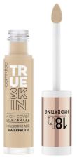 True Skin High Cover Concealer 4,5 ml