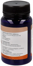 Fermented Chaga 60 Capsules