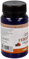 Fermented Chaga 60 Capsules