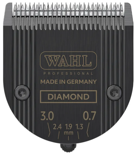Diamond Blade Set 1 Unit
